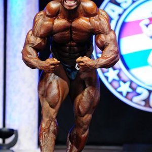 2011 Bodybuilding images