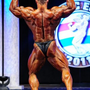 2011 Bodybuilding images