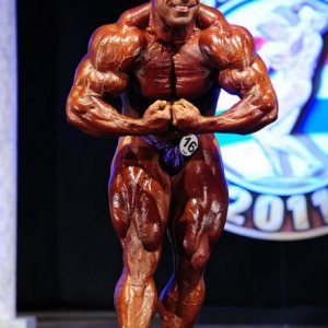 2011 Bodybuilding images