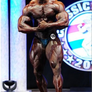 2011 Bodybuilding images