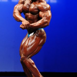 2011 Bodybuilding images