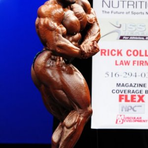 2011 Bodybuilding images