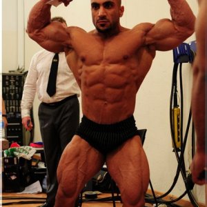 2011 Bodybuilding images