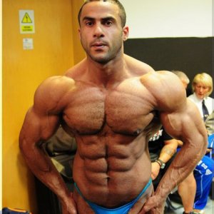 2011 Bodybuilding images