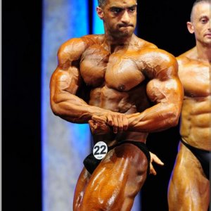 2011 Bodybuilding images