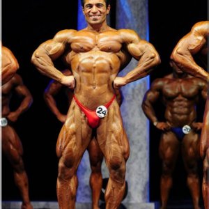 2011 Bodybuilding images