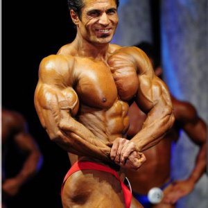 2011 Bodybuilding images