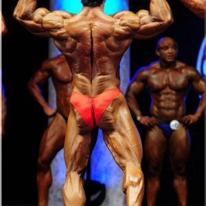 2011 Bodybuilding images