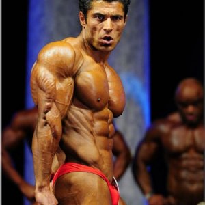 2011 Bodybuilding images