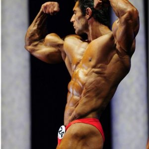 2011 Bodybuilding images