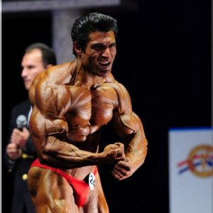 2011 Bodybuilding images