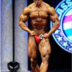 2011 Bodybuilding images