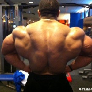 2011 Bodybuilding images