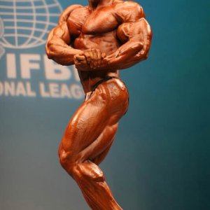 2011 Bodybuilding images