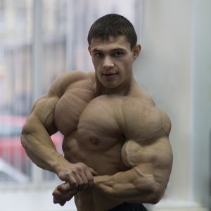 2011 Bodybuilding images