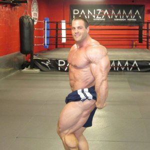 2011 Bodybuilding images