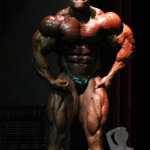 2011 Bodybuilding images