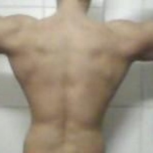 2011 Bodybuilding images