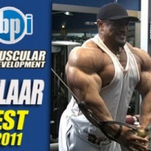 2011 Bodybuilding images