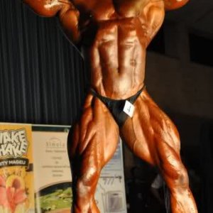 2011 Bodybuilding images