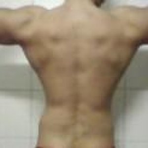 2011 Bodybuilding images