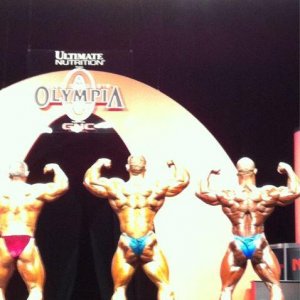 2011 Bodybuilding images