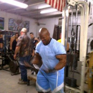 2011 Bodybuilding images