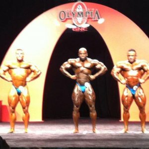 2011 Bodybuilding images