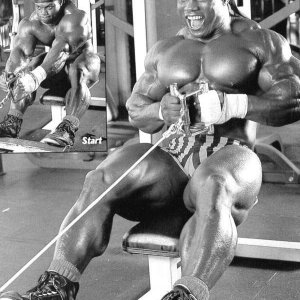 2011 Bodybuilding images