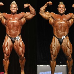 2011 Bodybuilding images