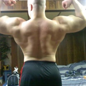 2010 Bodybuilding Images