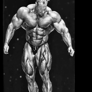 2010 Bodybuilding Images