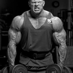 2010 Bodybuilding Images