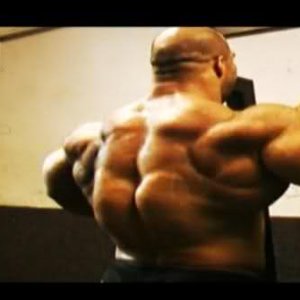 2010 Bodybuilding Images