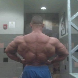 2010 Bodybuilding Images