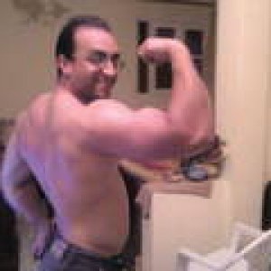 2010 Bodybuilding Images