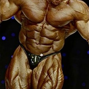 2010 Bodybuilding Images