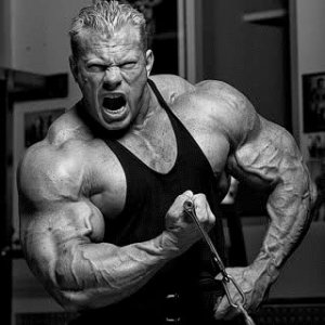 2010 Bodybuilding Images