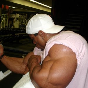 2010 Bodybuilding Images