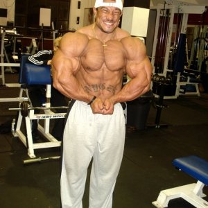 2010 Bodybuilding Images