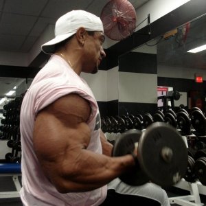 2010 Bodybuilding Images