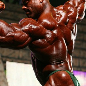 2010 Bodybuilding Images