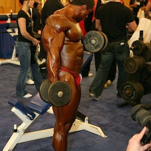 2010 Bodybuilding Images