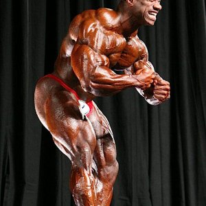 2010 Bodybuilding Images