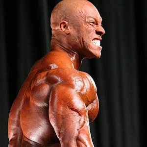 2010 Bodybuilding Images