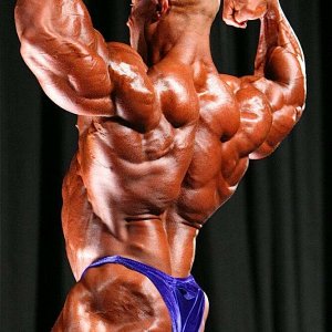 2010 Bodybuilding Images