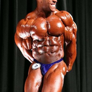 2010 Bodybuilding Images