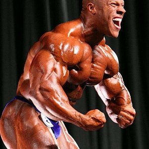 2010 Bodybuilding Images