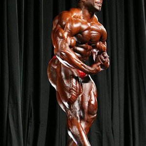 2010 Bodybuilding Images