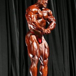 2010 Bodybuilding Images